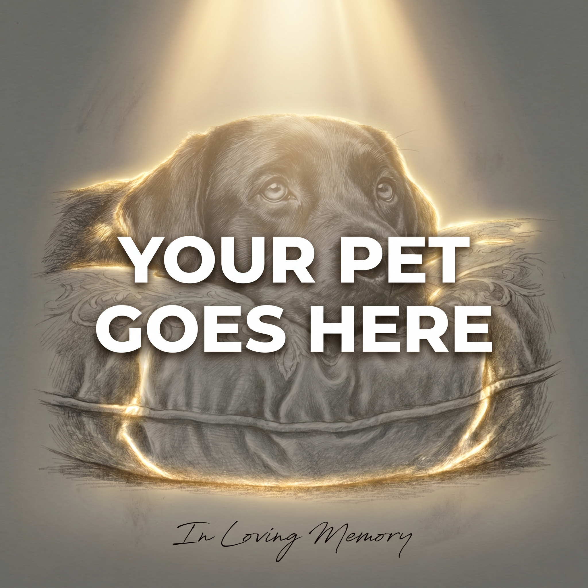 Your Pet Goes Here