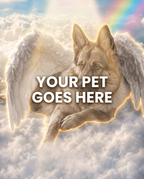 Your Pet Goes Here