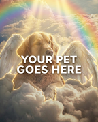 Your Pet Goes Here