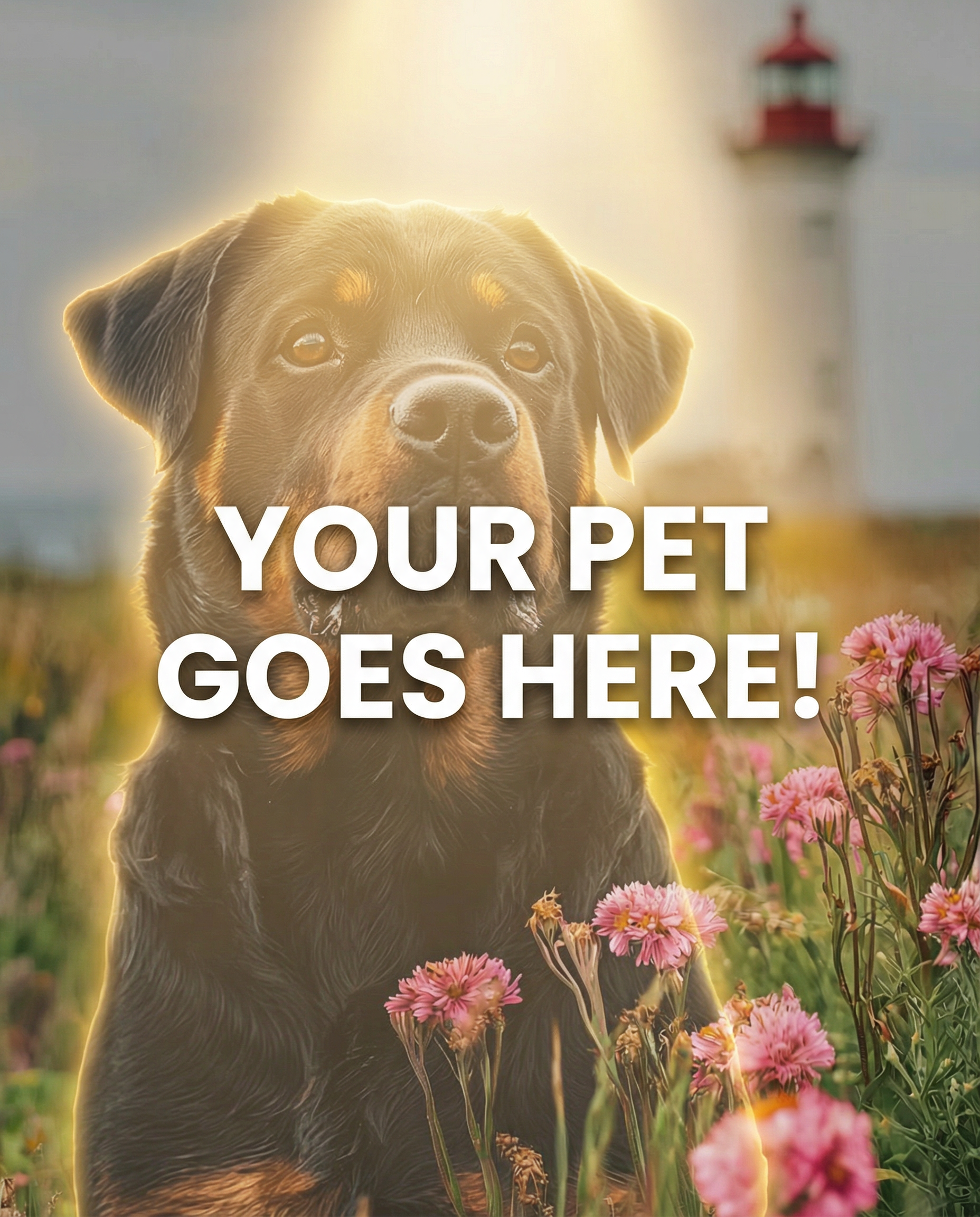 Your Pet Goes Here