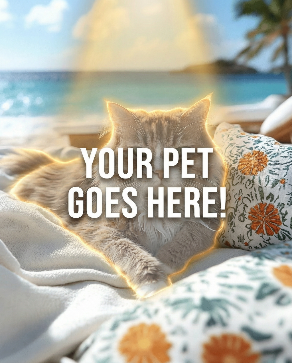 Your Pet Goes Here