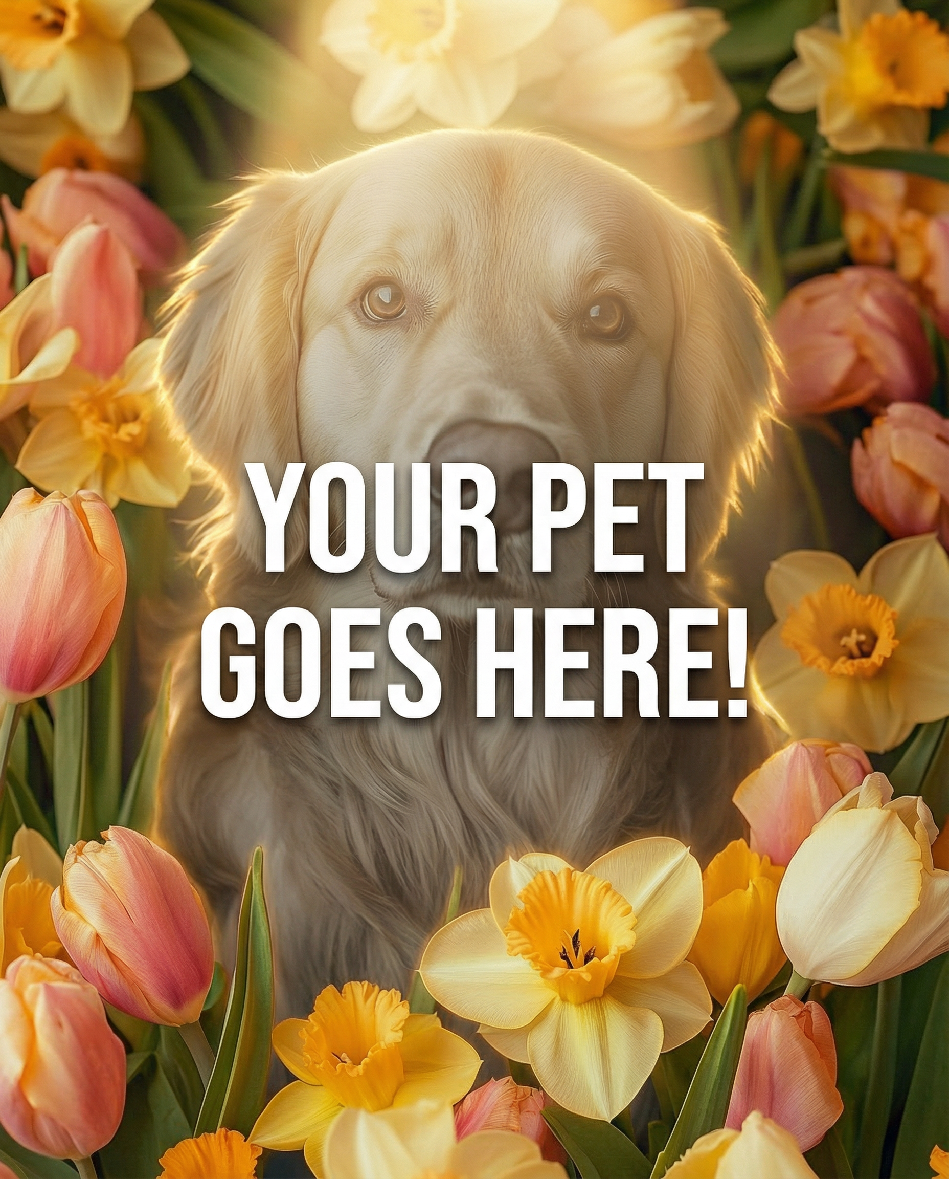 Your Pet Goes Here