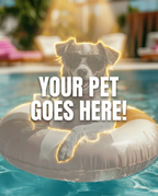 Your Pet Goes Here