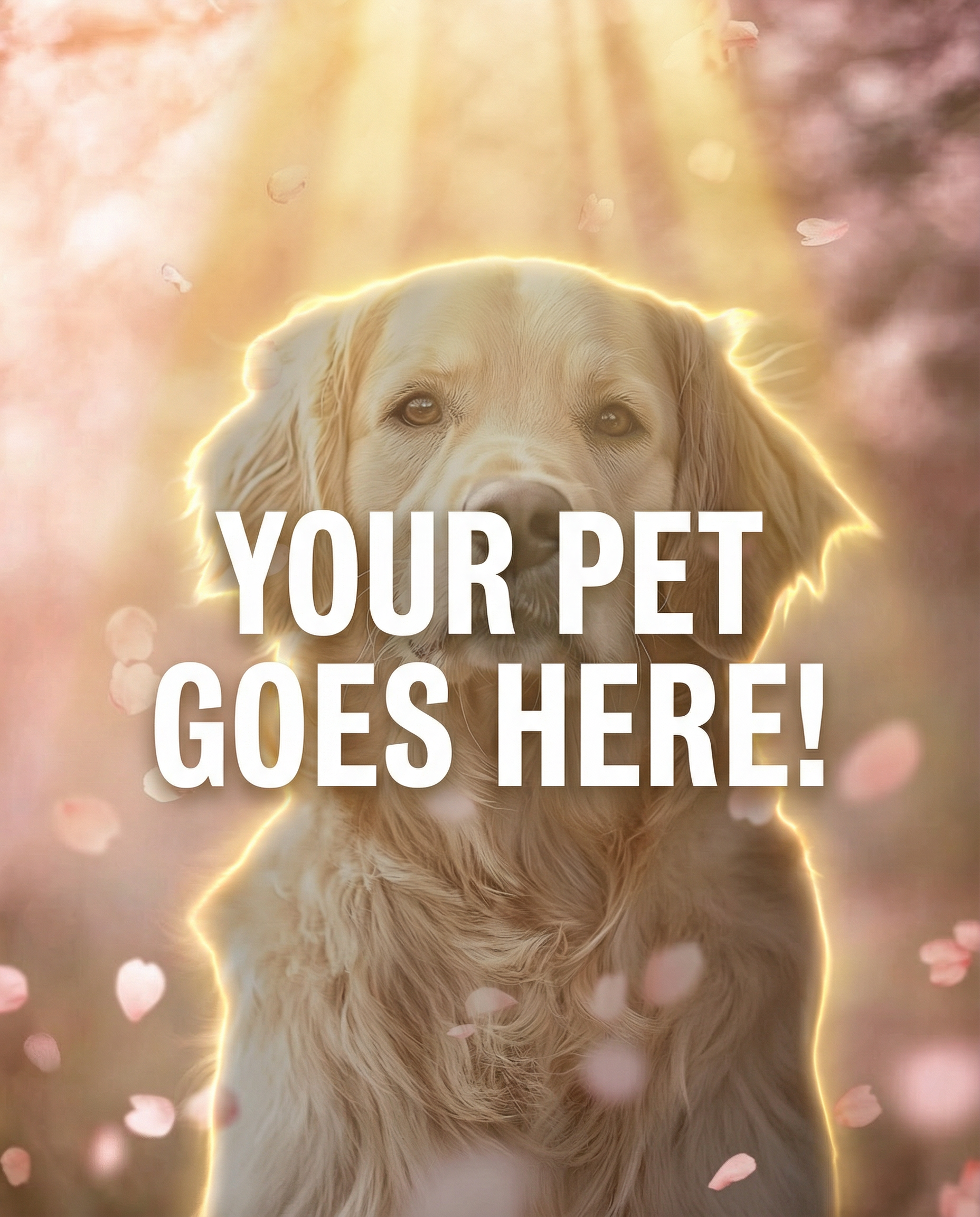 Your Pet Goes Here