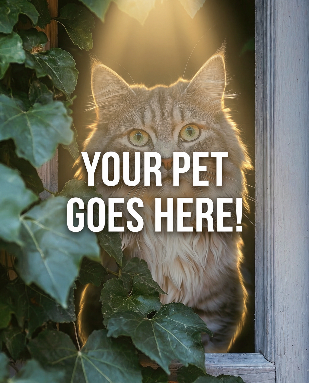 Your Pet Goes Here