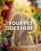 Your Pet Goes Here