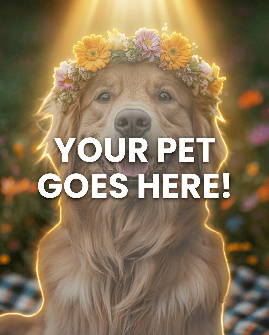Your Pet Goes Here