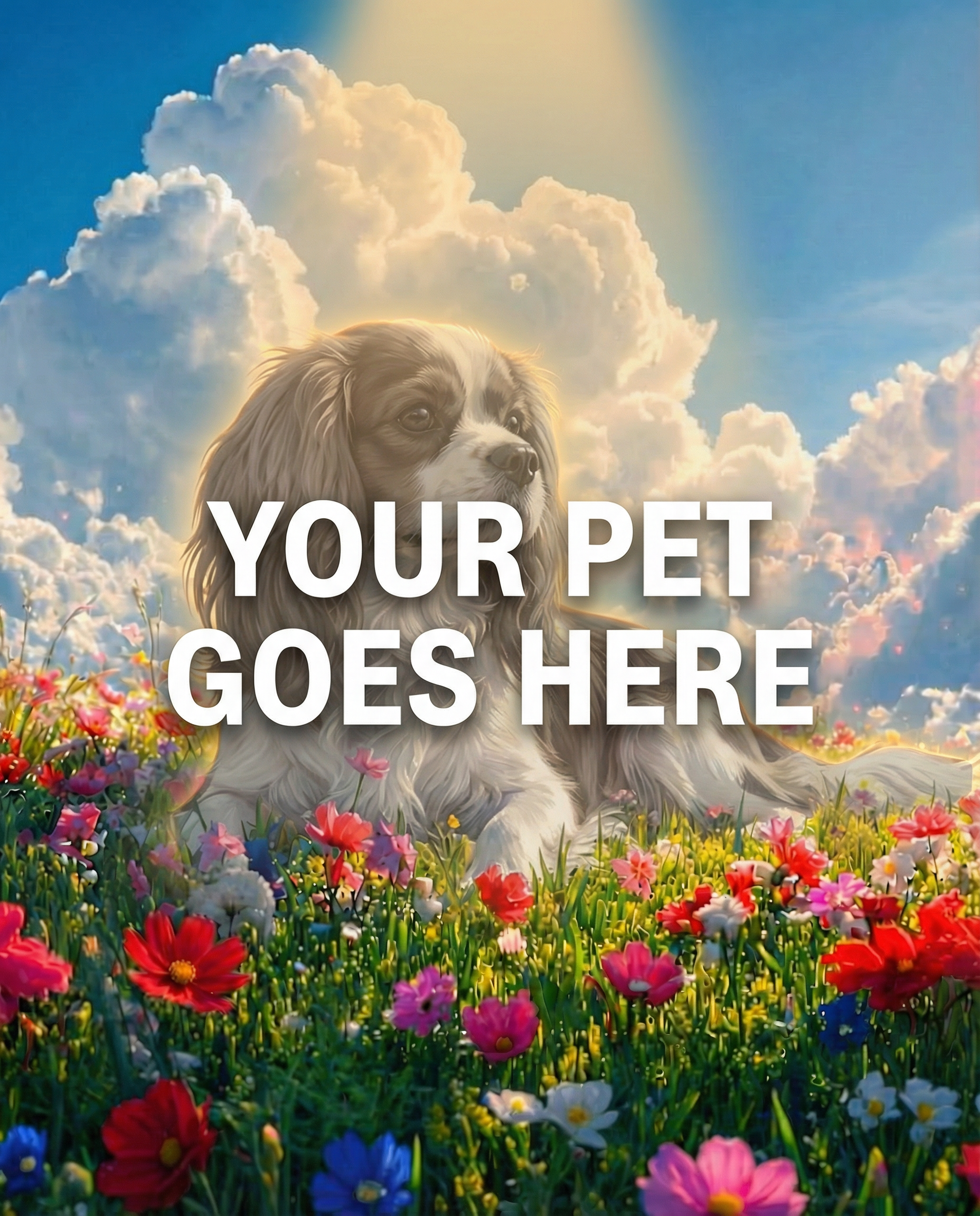 Cavalier King Charles Spaniel Your Pet Goes Here