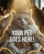 Your Pet Goes Here