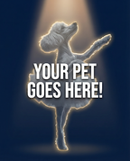 Your Pet Goes Here