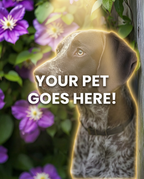 Your Pet Goes Here