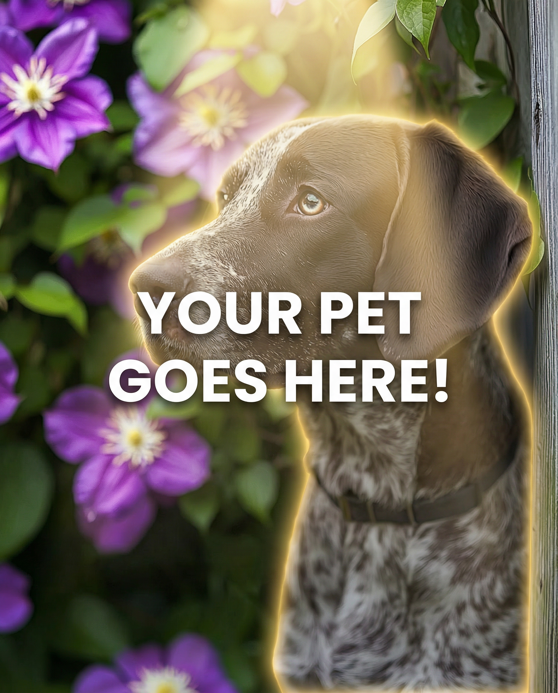 Your Pet Goes Here