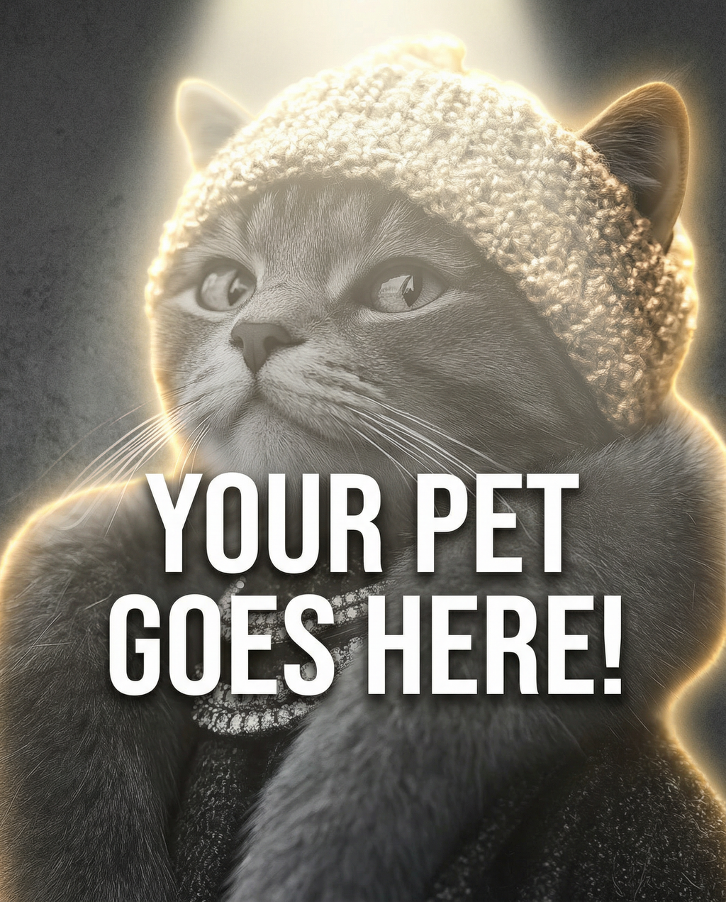 Your Pet Goes Here