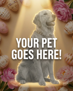 Your Pet Goes Here