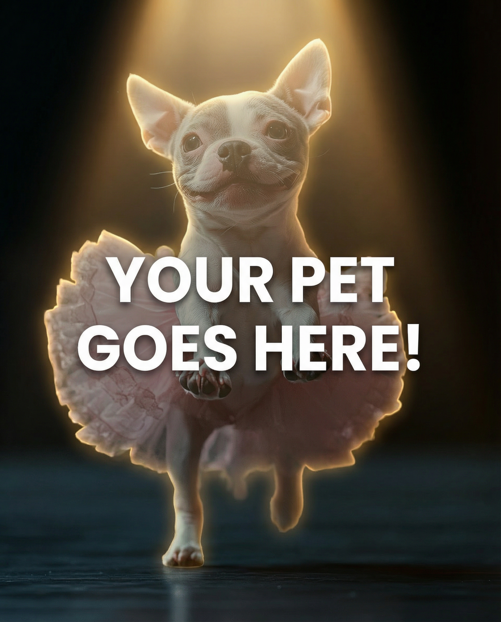 Your Pet Goes Here