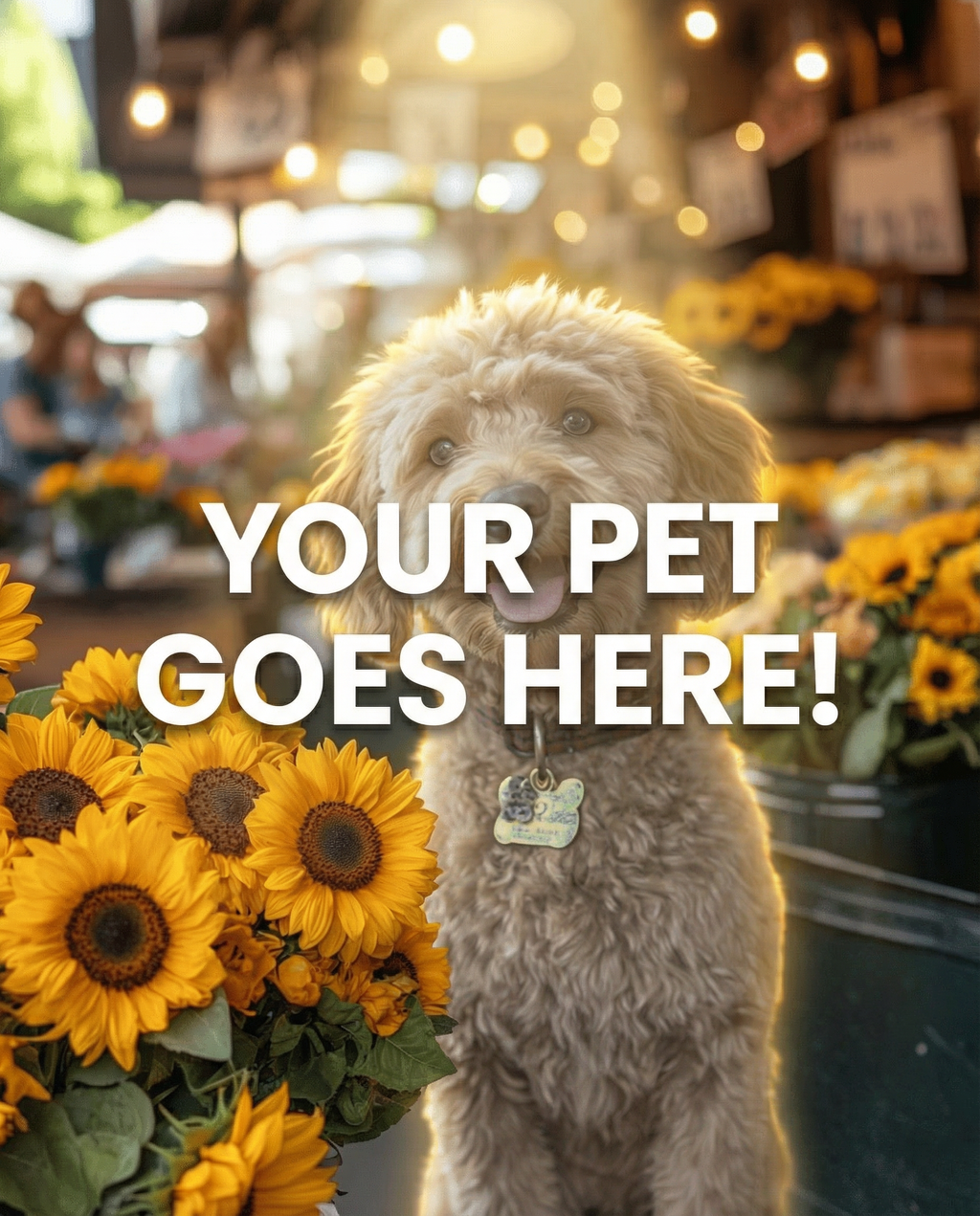 Your Pet Goes Here