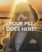 Your Pet Goes Here
