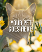 Your Pet Goes Here