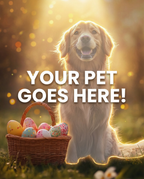Your Pet Goes Here