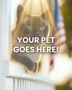 Your Pet Goes Here