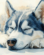 Dreamy Sleeper