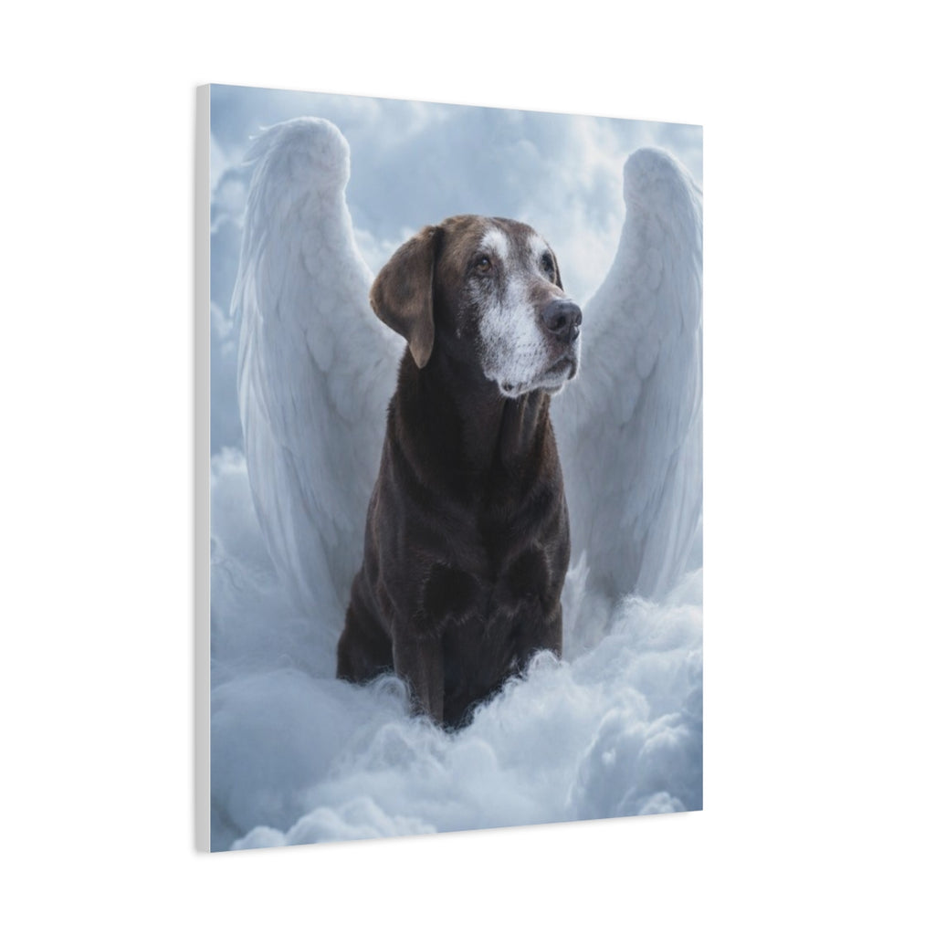 Spellcasting Shadows