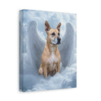 Spellcasting Shadows