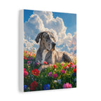Spellcasting Shadows