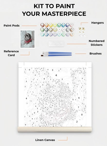 Custom Paint By Numbers Kit