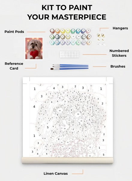 Custom Paint By Numbers Kit