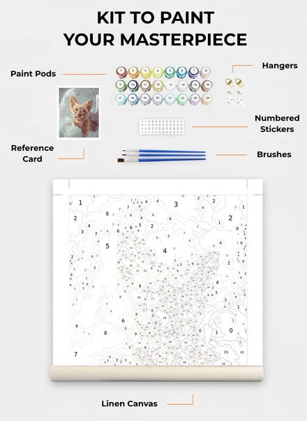 Custom Paint By Numbers Kit