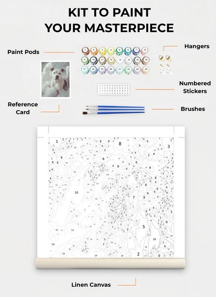 Custom Paint By Numbers Kit