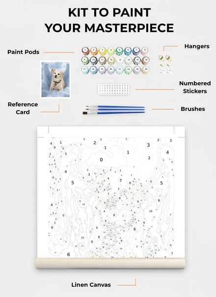Custom Paint By Numbers Kit