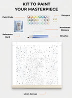 Custom Paint By Numbers Kit