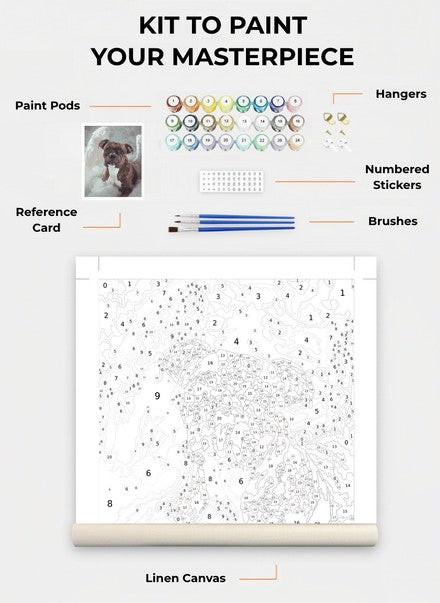 Custom Paint By Numbers Kit
