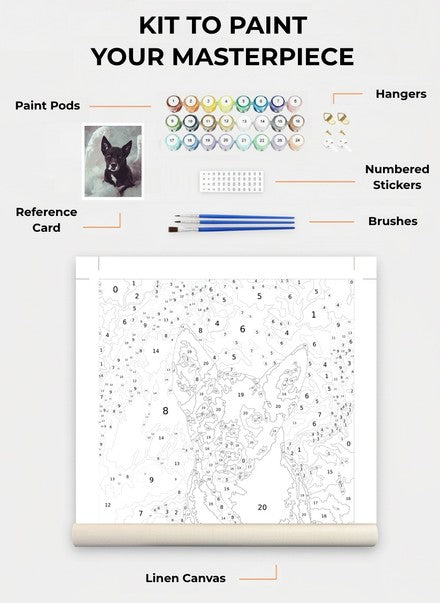 Custom Paint By Numbers Kit