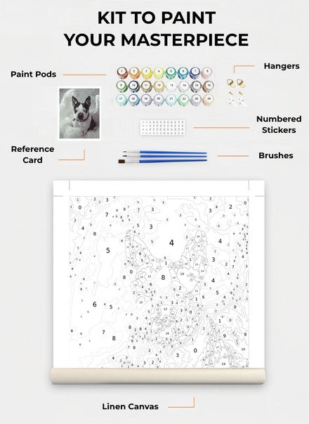 Custom Paint By Numbers Kit