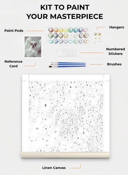 Custom Paint By Numbers Kit