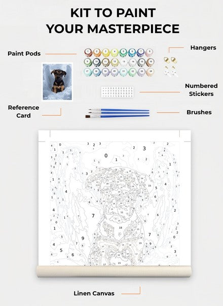 Custom Paint By Numbers Kit
