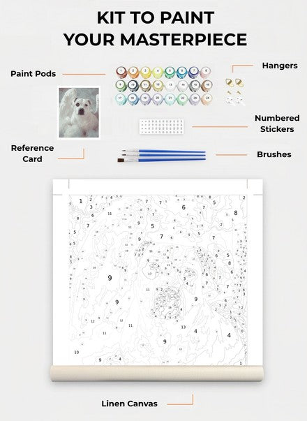 Custom Paint By Numbers Kit