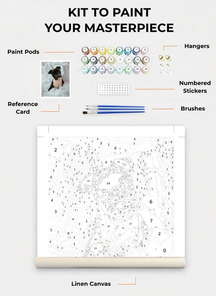 Custom Paint By Numbers Kit