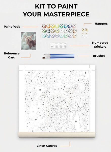 Custom Paint By Numbers Kit