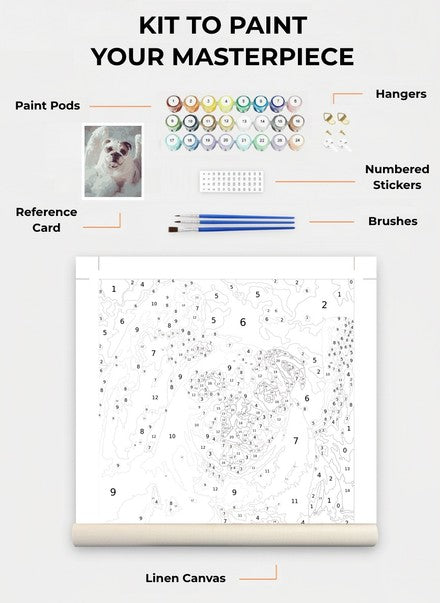 Custom Paint By Numbers Kit