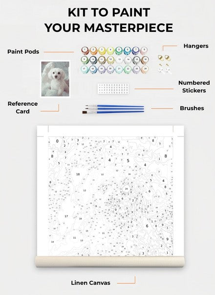 Custom Paint By Numbers Kit