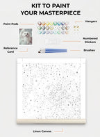 Custom Paint By Numbers Kit