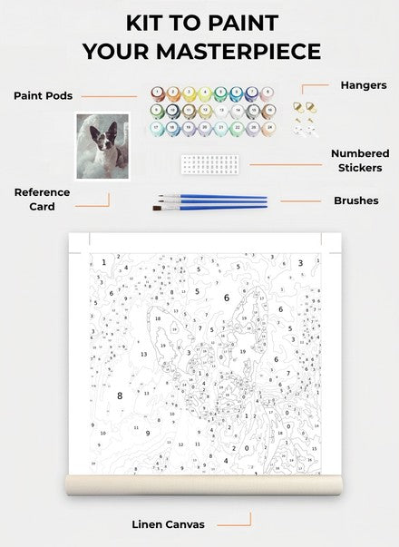 Custom Paint By Numbers Kit