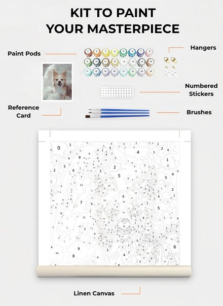 Custom Paint By Numbers Kit