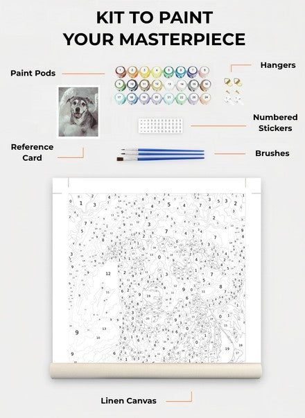 Custom Paint By Numbers Kit