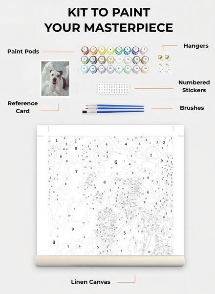 Custom Paint By Numbers Kit