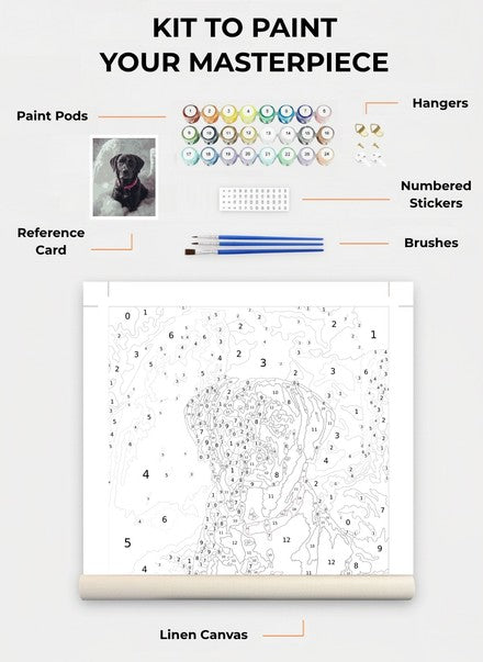 Custom Paint By Numbers Kit